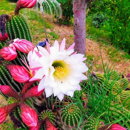 Il Parco Çiftlik konaklama Ancona