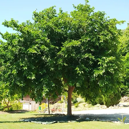 Il Parco Çiftlik konaklama Ancona