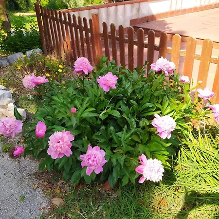 Il Parco Ancona