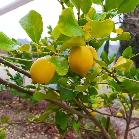 Il Parco Farmház Ancona