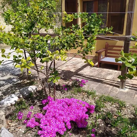 Il Parco Farm stay