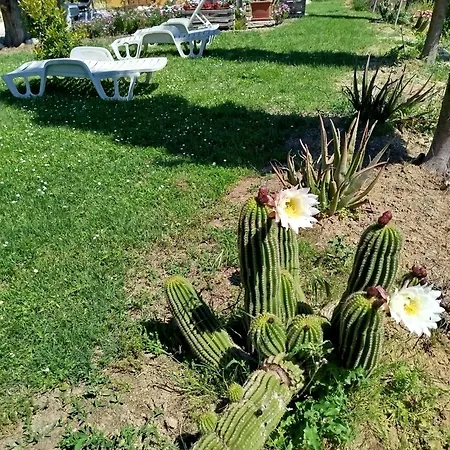 Farmház Il Parco Ancona