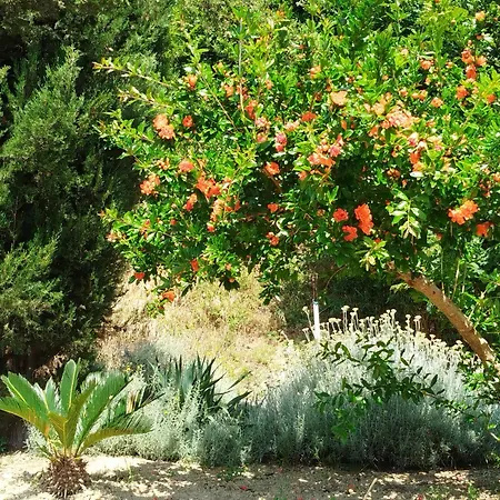 Il Parco